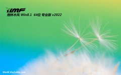 雨林木风免激活win8.1 64位游戏直装版v2022.02